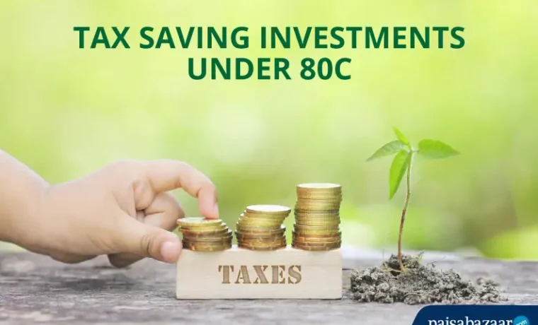 Top Tax-Saving Investments Under Section 80C You Should Know